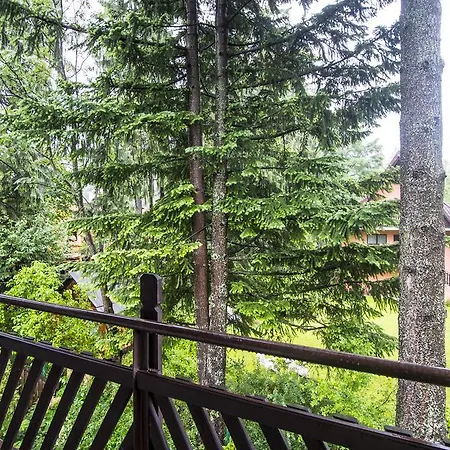 Zbikowka Homestay *