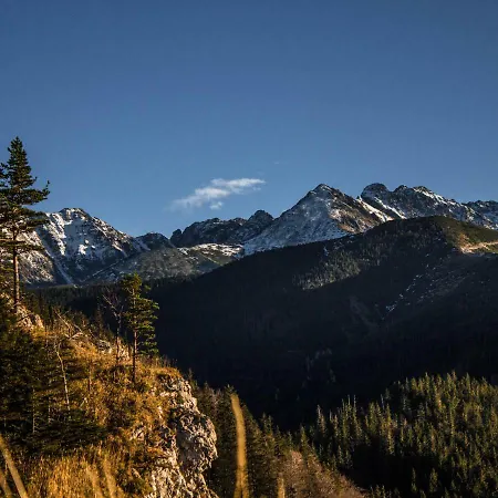 Homestay Zbikowka Zakopane