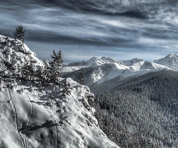 Accommodatie bij particulieren Zbikowka