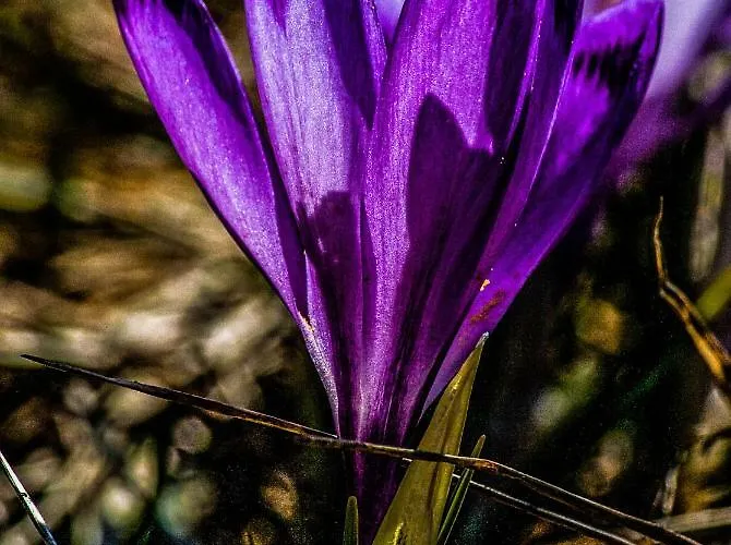 Privat bolig Zbikowka *